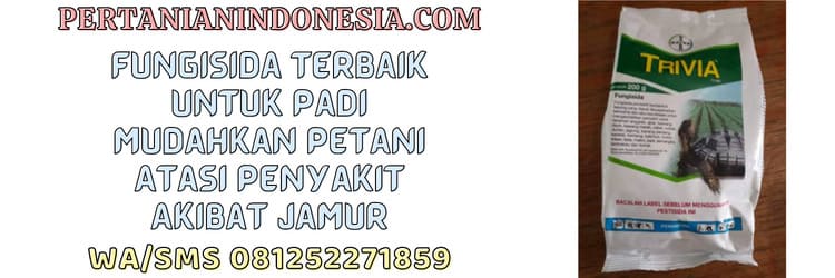 fungisida,terbaik,fungisida terbaik,penyakit,jamur